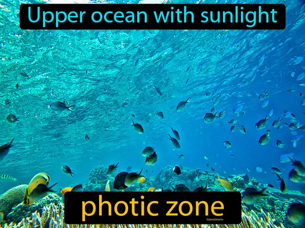 The upper ocean with sunlight