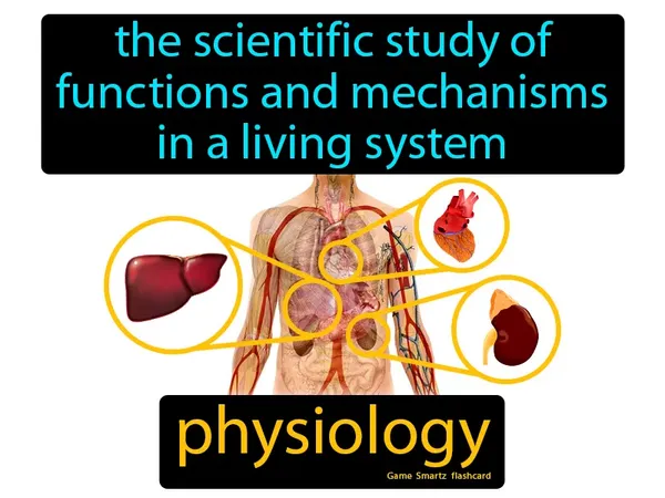 The scientific study of functions and mechanisms in a living system
