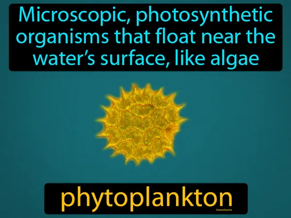 Microscopic, photosynthetic organisms that float near the water’s surface, like algae