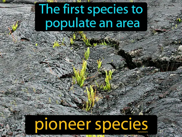 the first species to populate an area