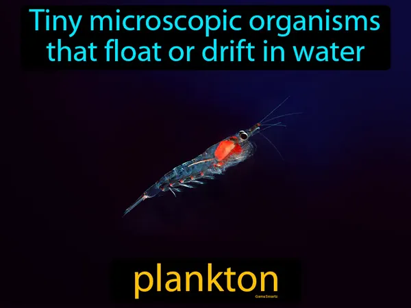 Tiny microscopic organisms that float or drift in water