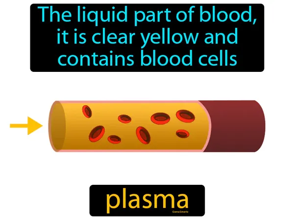 the liquid part of blood, it is clear yellow and contains blood cells