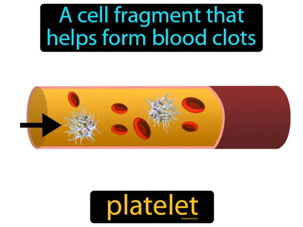 a cell fragment that helps form blood clots