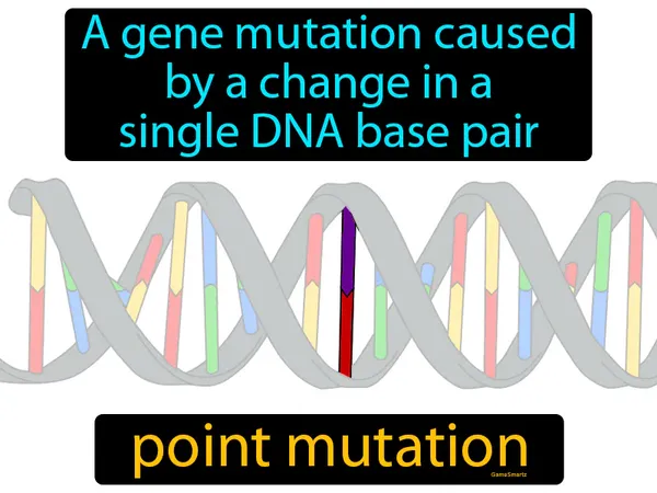 a gene mutation caused by a change in a single DNA base pair