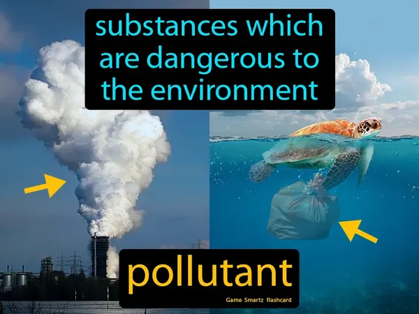 Substances which are dangerous to the environment