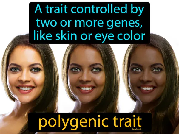 a trait controlled by two or more genes, like skin or eye color