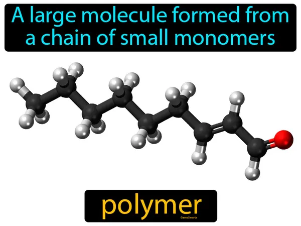 a large molecule formed from a chain of small monomers
