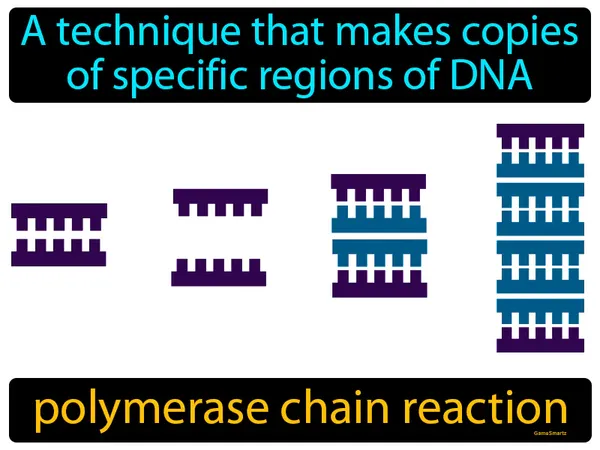 a technique that makes copies of specific regions of DNA