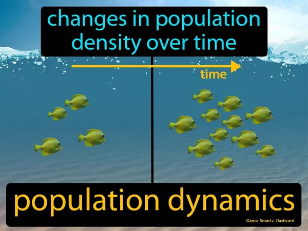 Changes in population density over time