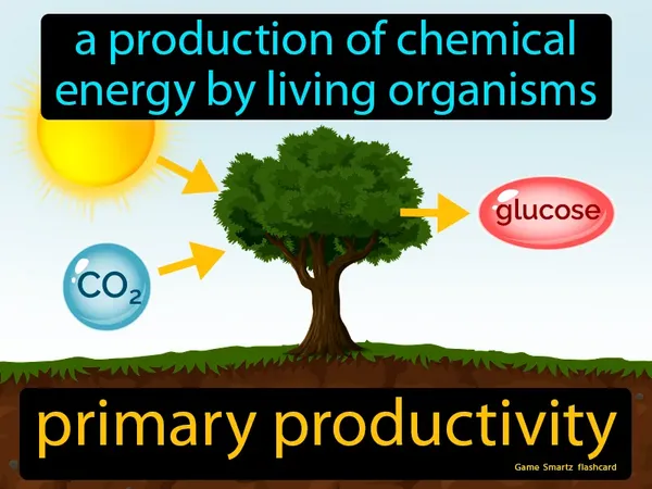 The production of chemical energy by living organisms