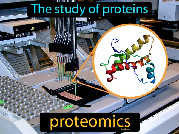 the study of proteins