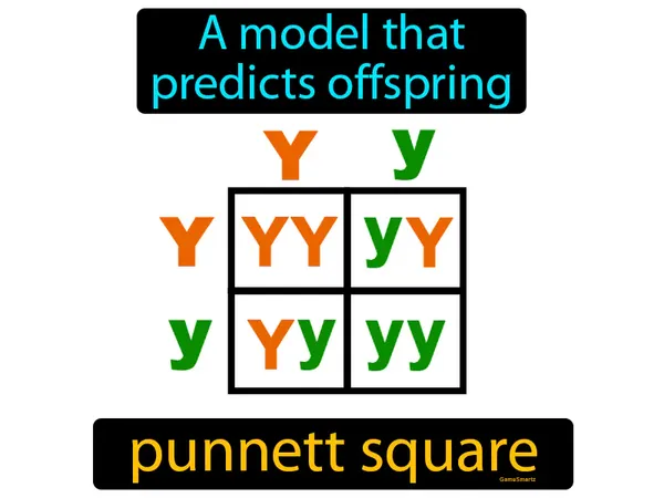 a model that predicts offspring