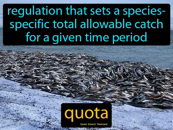 Regulation that sets a species- specific total allowable catch for a given time period