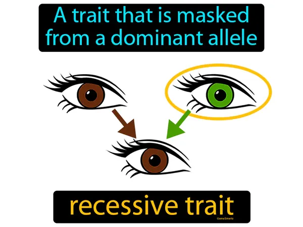 a trait that is masked from a dominant allele