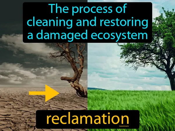 the process of cleaning and restoring a damaged ecosystem