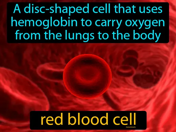 a disc-shaped cell that uses hemoglobin to carry oxygen from the lungs to the body