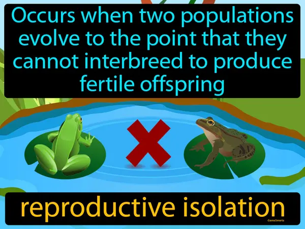 occurs when two populations evolve to the point that they cannot interbreed to produce fertile offspring