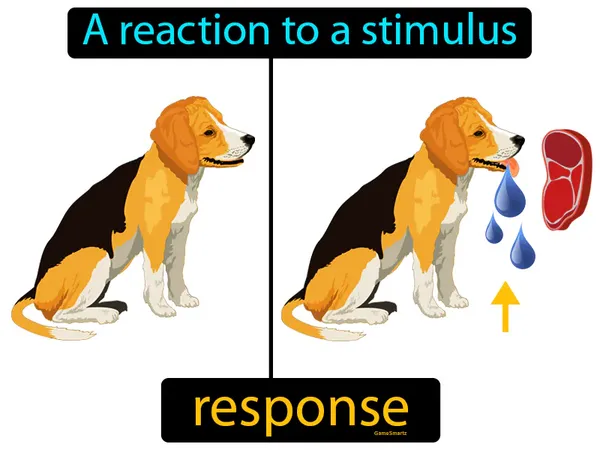 a reaction to a stimulus