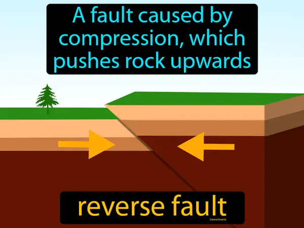 a fault caused by compression, which pushes rock upwards