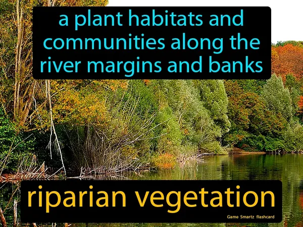 A plant habitats and communities along the river margins and banks