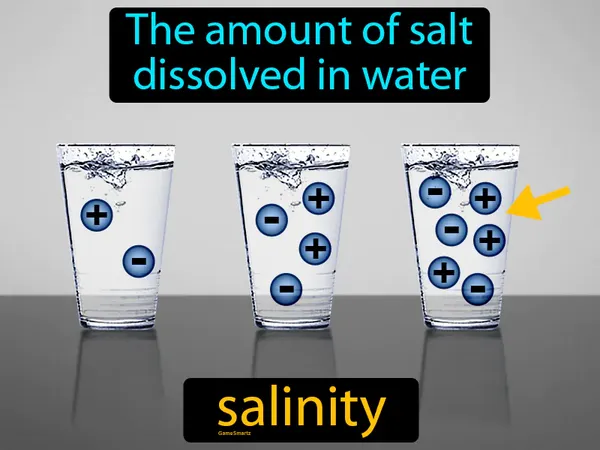 the amount of salt dissolved in water