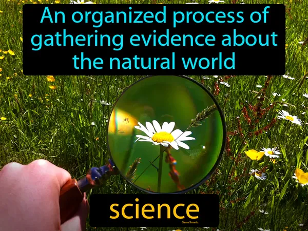 an organized process of gathering evidence about the natural world