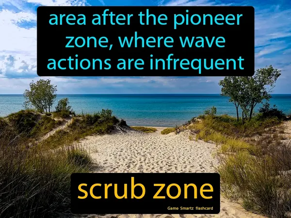 Area after the pioneer zone, where wave actions are infrequent