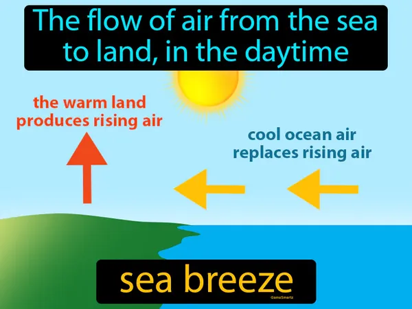 the flow of air from the sea to land, in the daytime