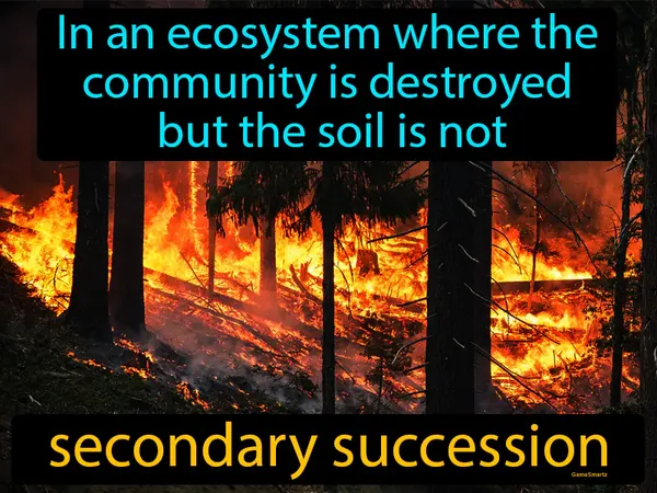 in an ecosystem where the community is destroyed but the soil is not