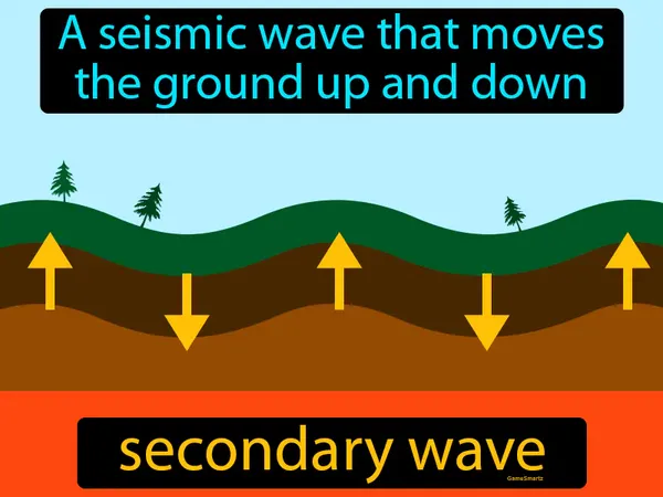 a seismic wave that moves the ground up and down