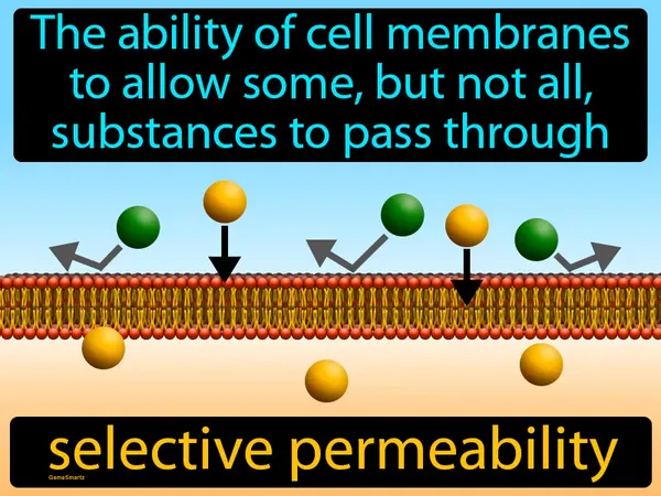 the ability of cell membranes to allow some, but not all, substances to pass through