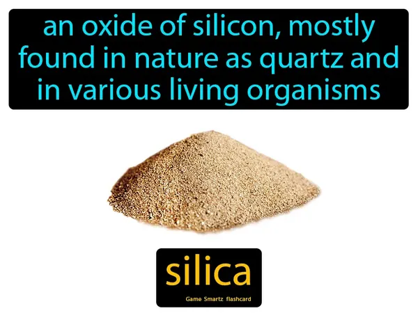 An oxide of silicon, mostly found in nature as quartz and in various living organisms