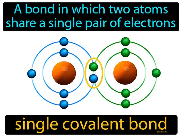 a bond in which two atoms share a single pair of electrons