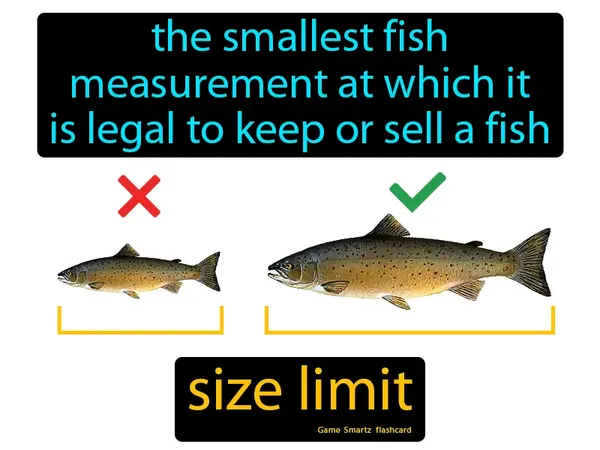 The smallest fish measurement at which it is legal to keep or sell a fish