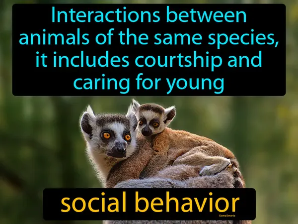 interactions between animals of the same species, it includes courtship and caring for young