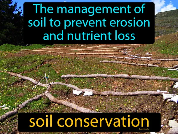 the management of soil to prevent erosion and nutrient loss