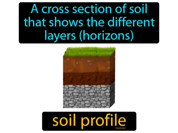 a cross section of soil that shows the different layers (horizons)
