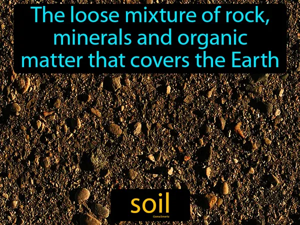 the loose mixture of rock, minerals and organic matter that covers the Earth