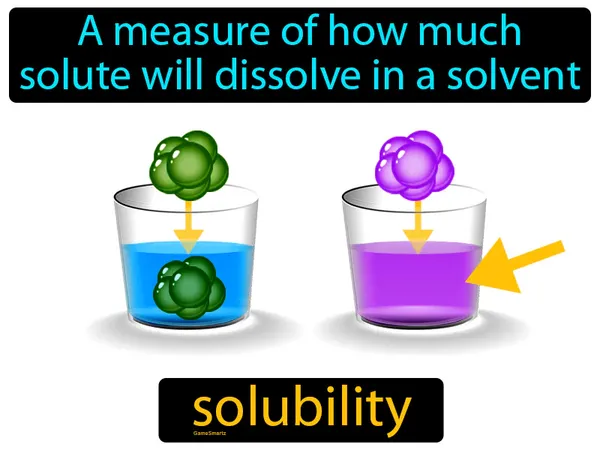 A measure of how much solute will dissolve in a solvent