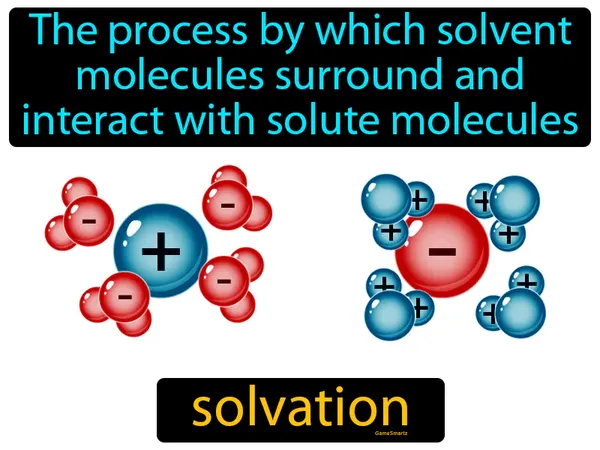 the process by which solvent molecules surround and interact with solute molecules