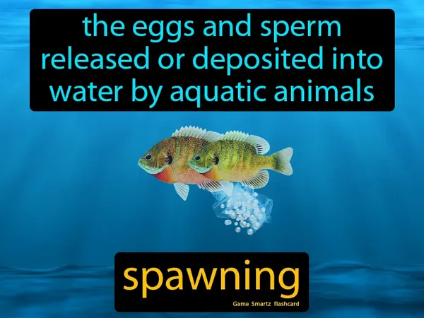 The eggs and sperm released or deposited into water by aquatic animals