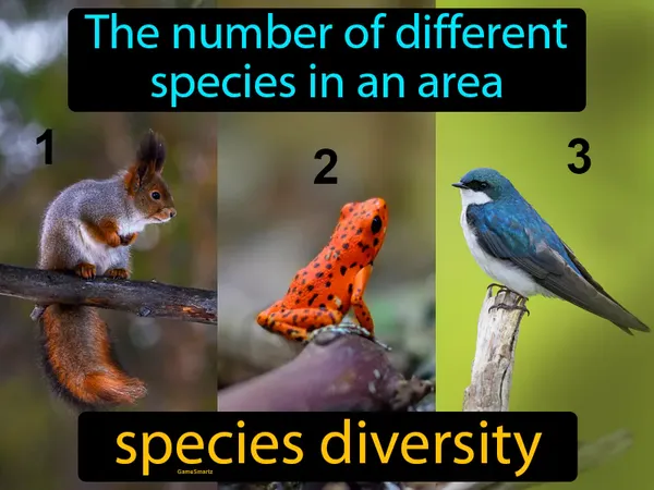 the number of different species in an area