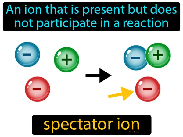 an ion that is present but does not participate in a reaction