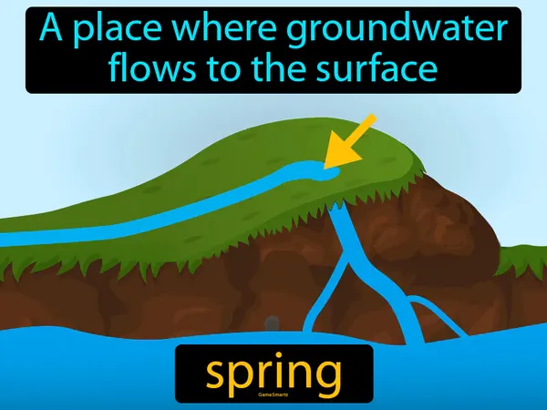 a place where groundwater flows to the surface