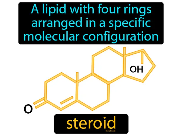 a lipid with four rings arranged in a specific molecular configuration