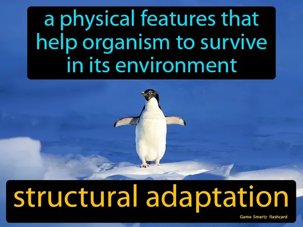 A physical features that help organism to survive in its environment