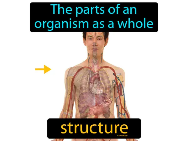 the parts of a organism as a whole