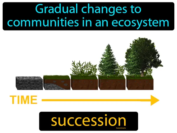 the gradual changes to communities in an ecosystem
