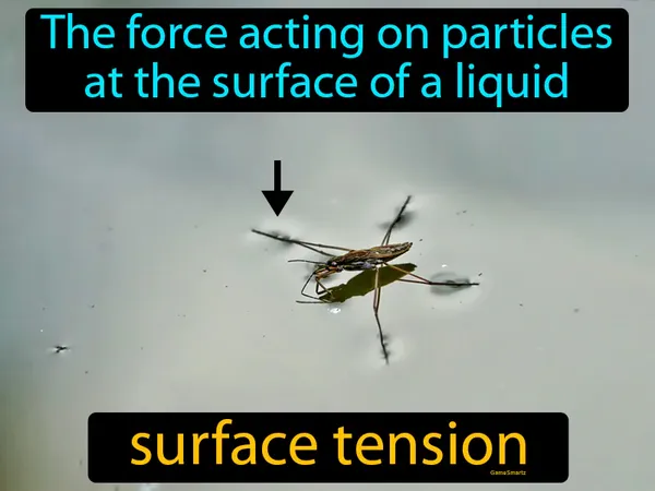 The force acting on particles at the surface of a liquid