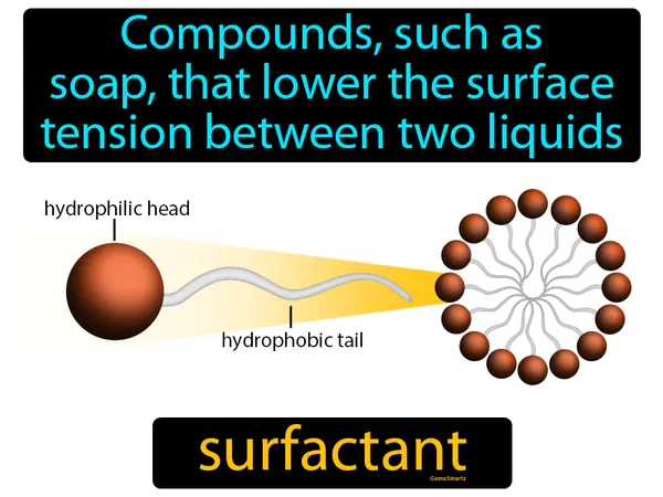 compounds, such as soap, that lower the surface tension between two liquids